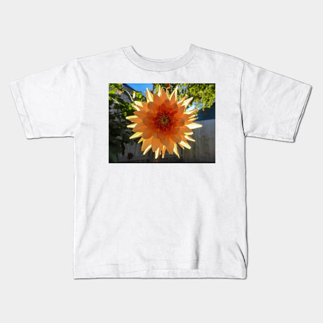 A Back-lit Orange Dahlia Kids T-Shirt by PictureNZ